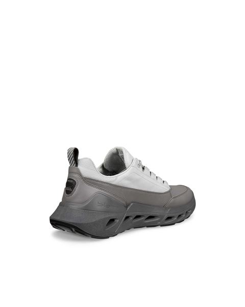 ECCO Biom 720 Gore-Tex Gray