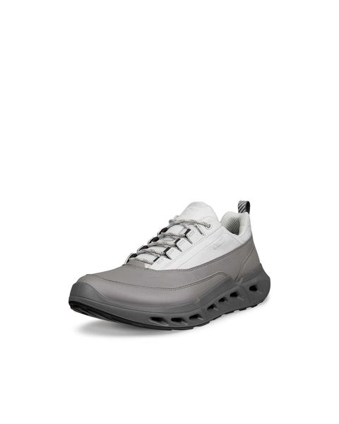 ECCO Biom 720 Gore-Tex Gray