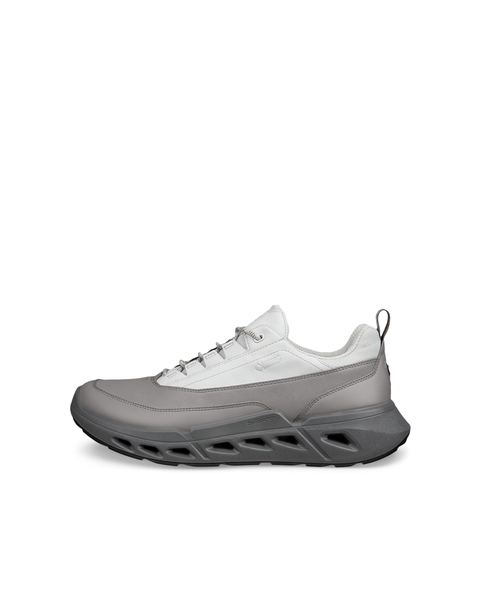 ECCO Biom 720 Gore-Tex Gray