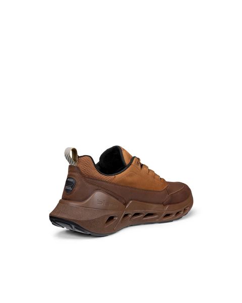 ECCO Biom 720 Gore-Tex Brown