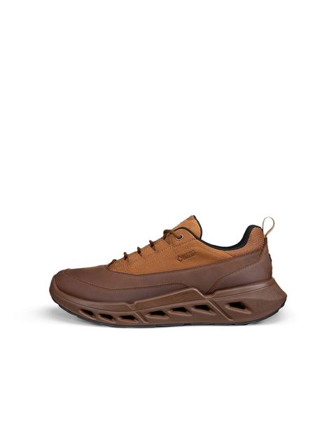 ECCO Biom 720 Gore-Tex Brown