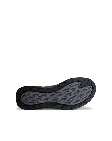 ECCO Biom 720 Gore-Tex Brown