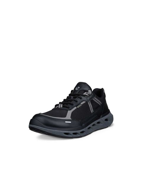 ECCO Biom 720 Gore-Tex Black