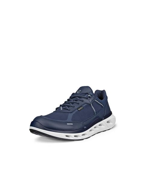 ECCO Biom 720 Gore-Tex Blue