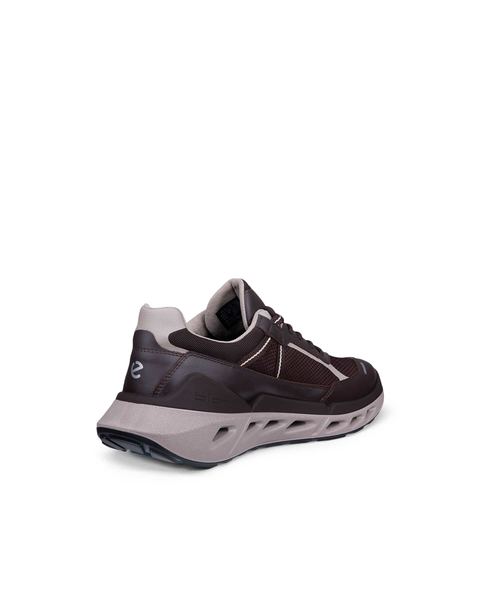 ECCO Biom 720 Gore-Tex Brown