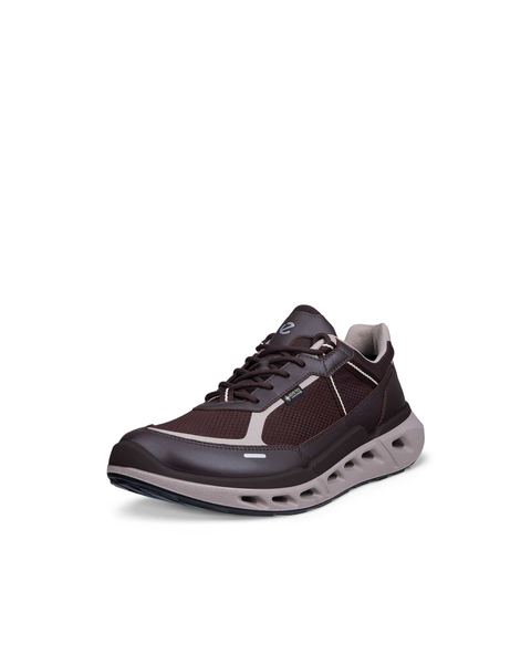 ECCO Biom 720 Gore-Tex Brown