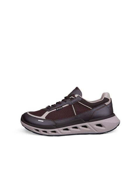 ECCO Biom 720 Gore-Tex Brown