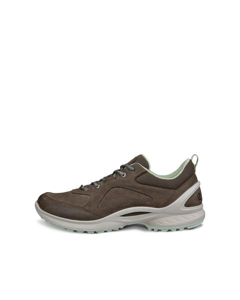 ECCO Biom Energi Brown
