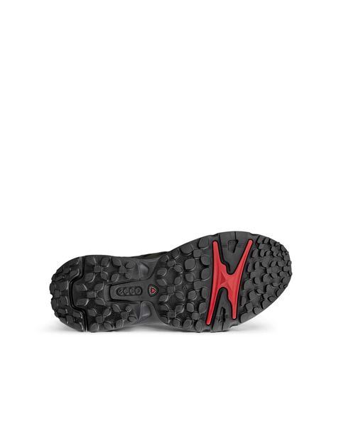 ECCO Receptor Xp Black