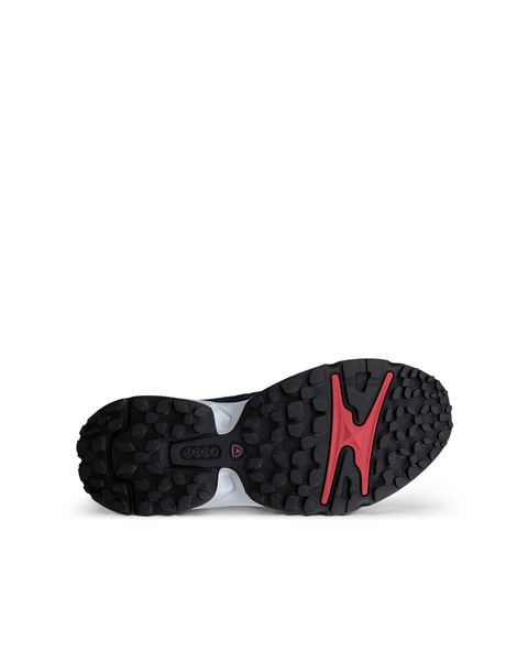 ECCO Receptor Xp Blue