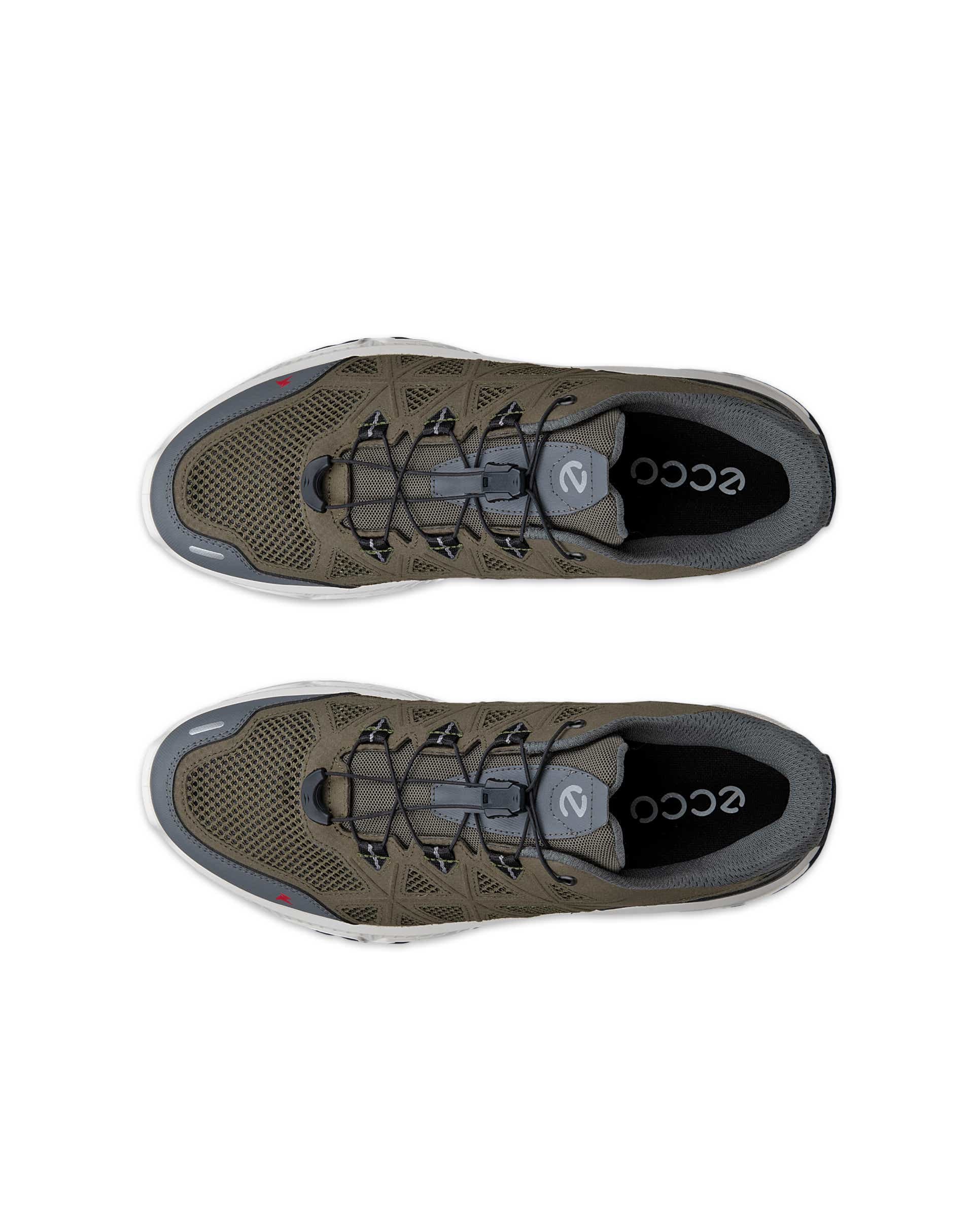 ECCO Receptor Xp Green