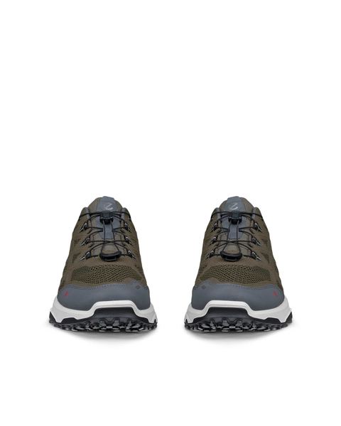 ECCO Receptor Xp Green