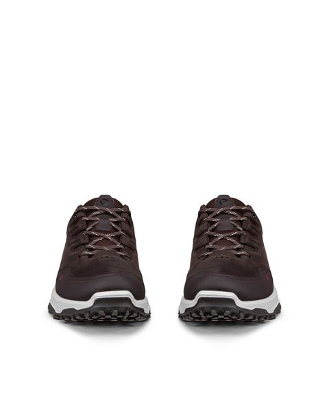 ECCO Receptor Xp Brown