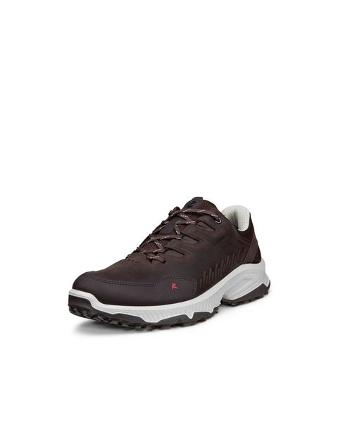 ECCO Receptor Xp Brown