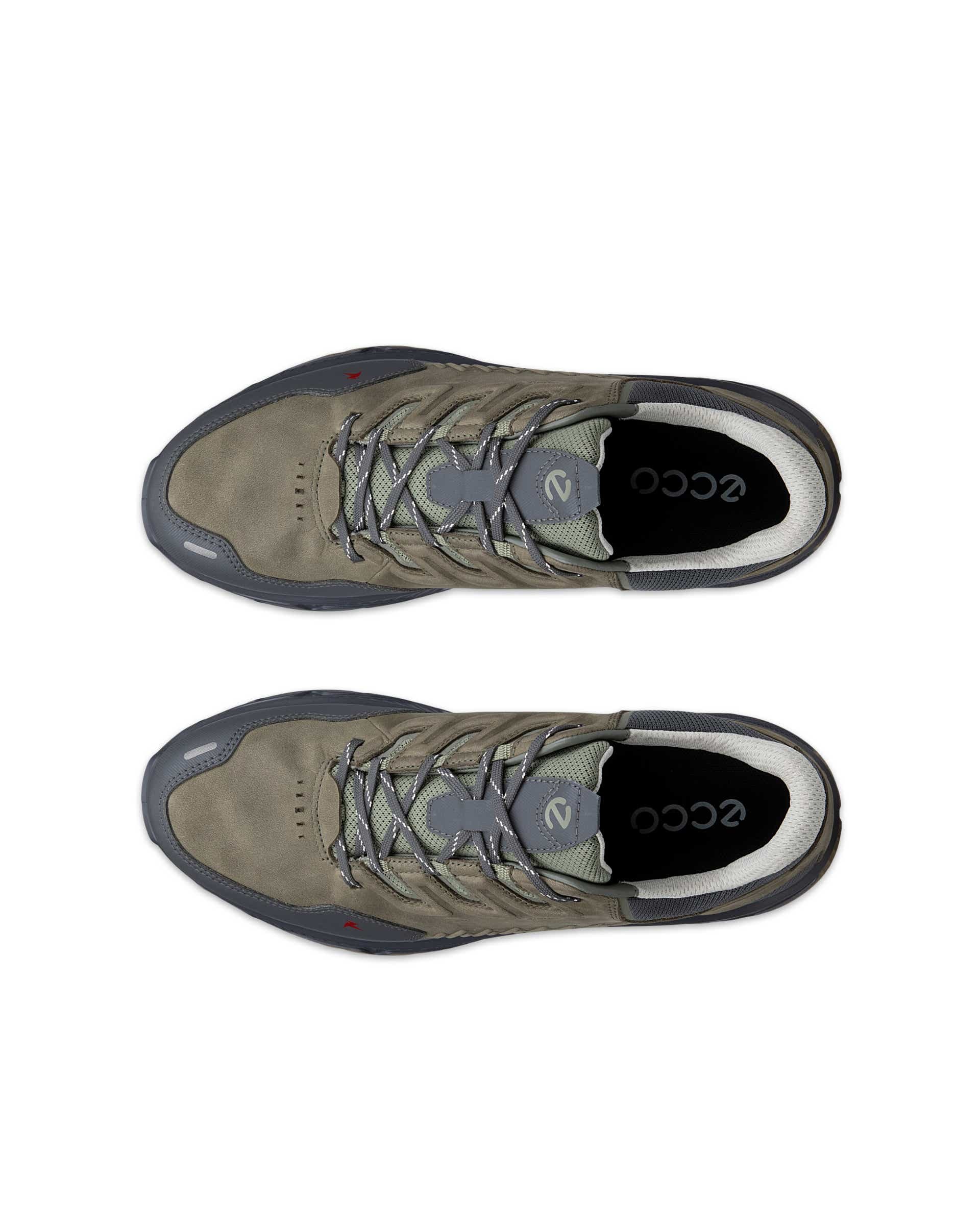 ECCO Receptor Xp Green