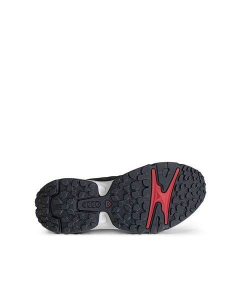 ECCO Receptor Xp Black