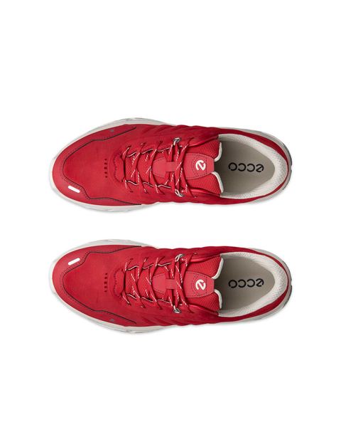 ECCO Receptor Xp Red