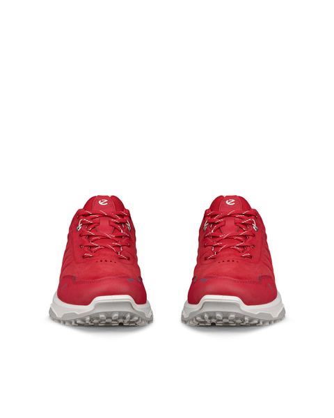 ECCO Receptor Xp Red
