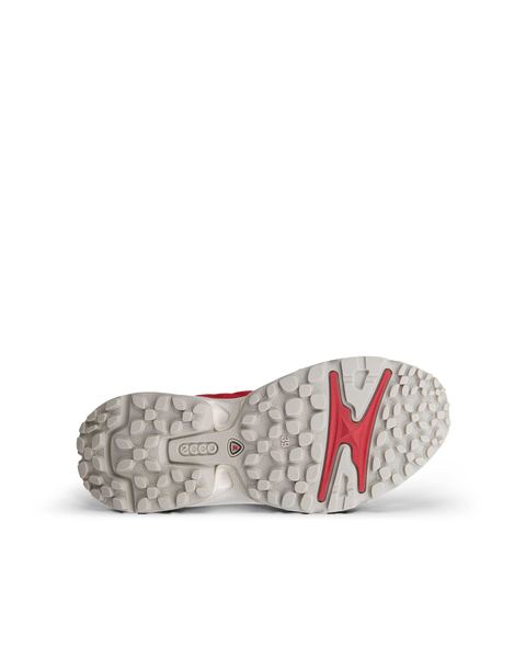 ECCO Receptor Xp Red