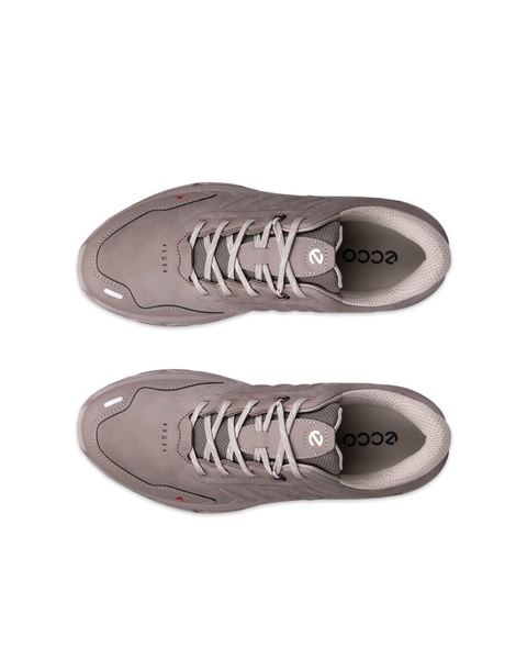 ECCO Receptor Xp Gray