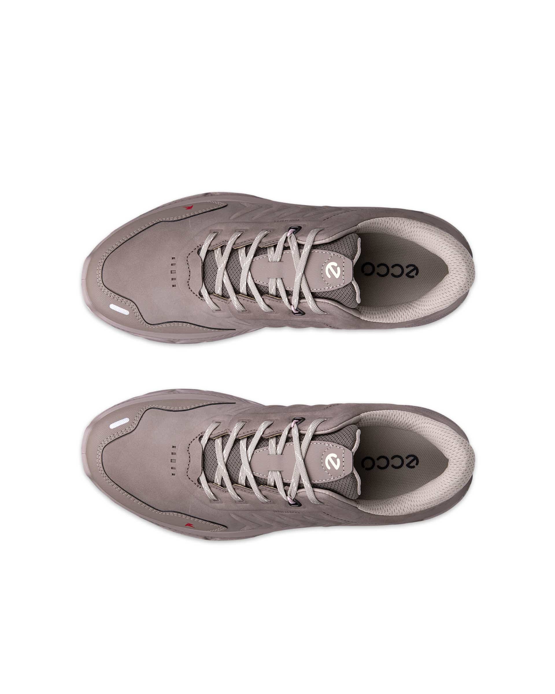 ECCO Receptor Xp Gray