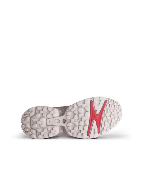 ECCO Receptor Xp Gray