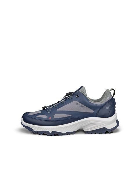 ECCO Receptor Xp Blue