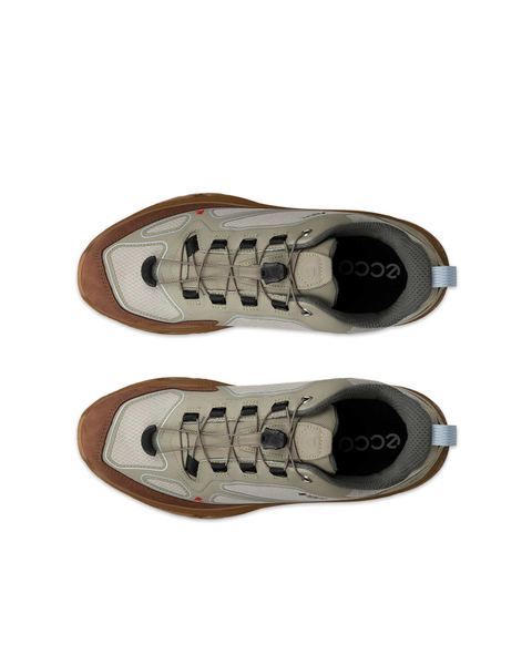 ECCO Receptor Xp Green