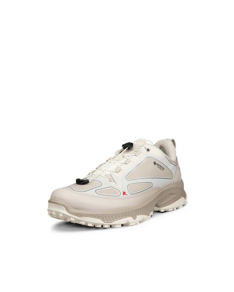 ECCO Receptor Xp Gray