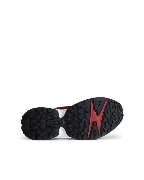 ECCO Receptor Xp Red