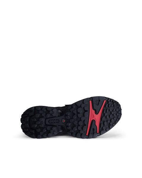 ECCO Receptor Xp Black