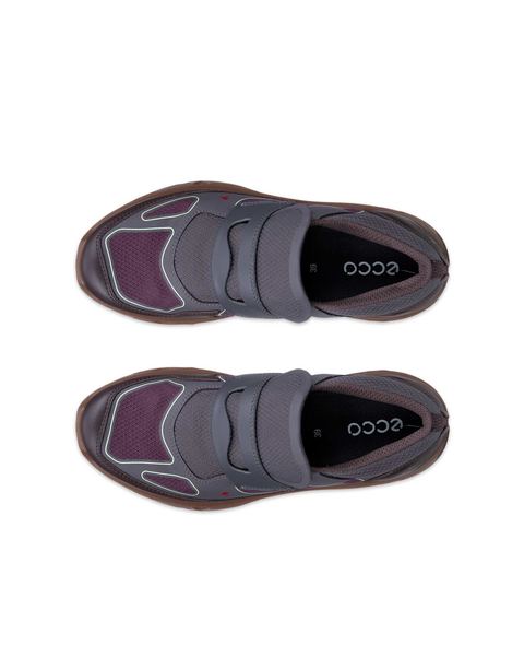 ECCO Receptor Xp Gray