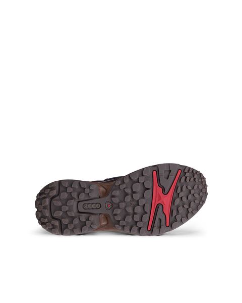ECCO Receptor Xp Gray