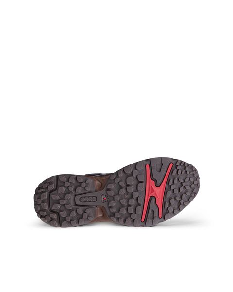 ECCO Receptor Xp Gray