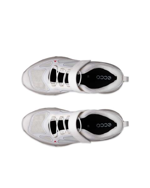 ECCO Receptor Xp Gray