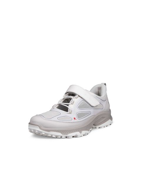 ECCO Receptor Xp Gray