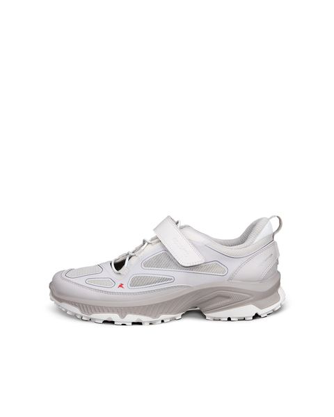 ECCO Receptor Xp Gray