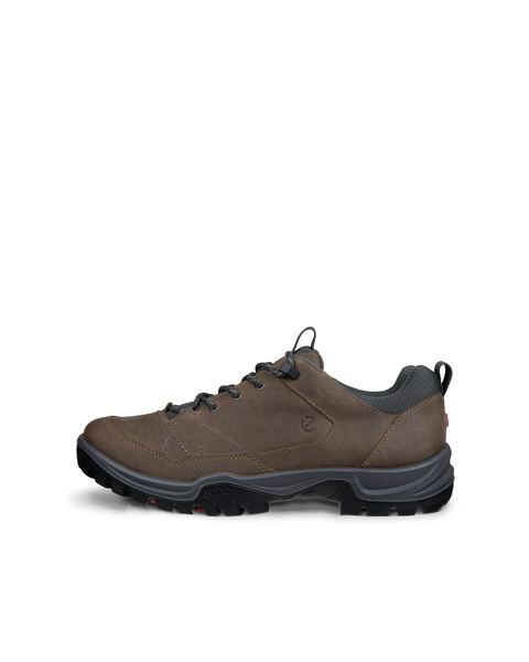 ECCO Receptor Trekk Brown