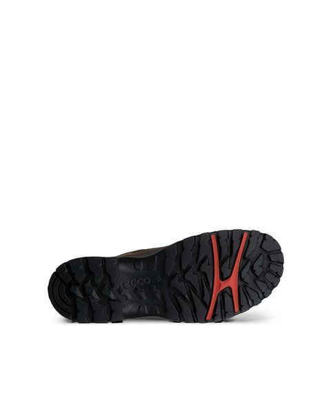 ECCO Receptor Trekk Brown